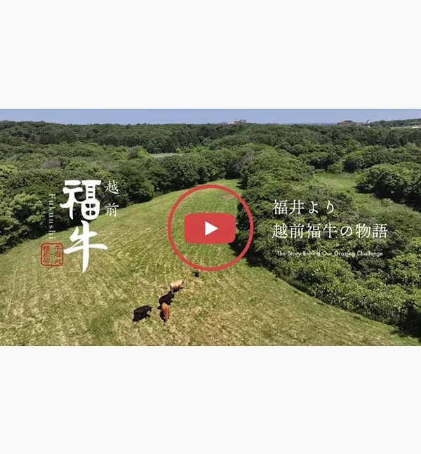 越前福牛プロモーション動画ディレクション｜Amond 東京広尾のWEBサイト制作と食企画