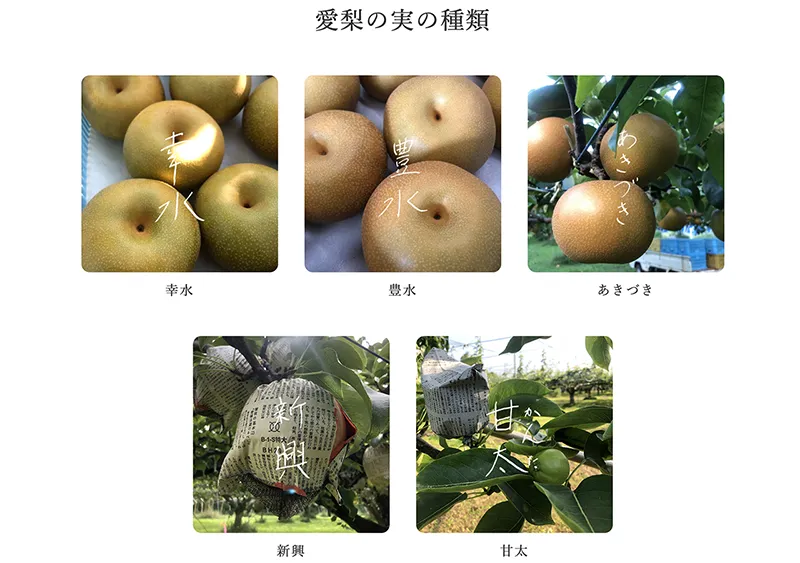 朝倉梨栗園｜Amondのウェブ制作